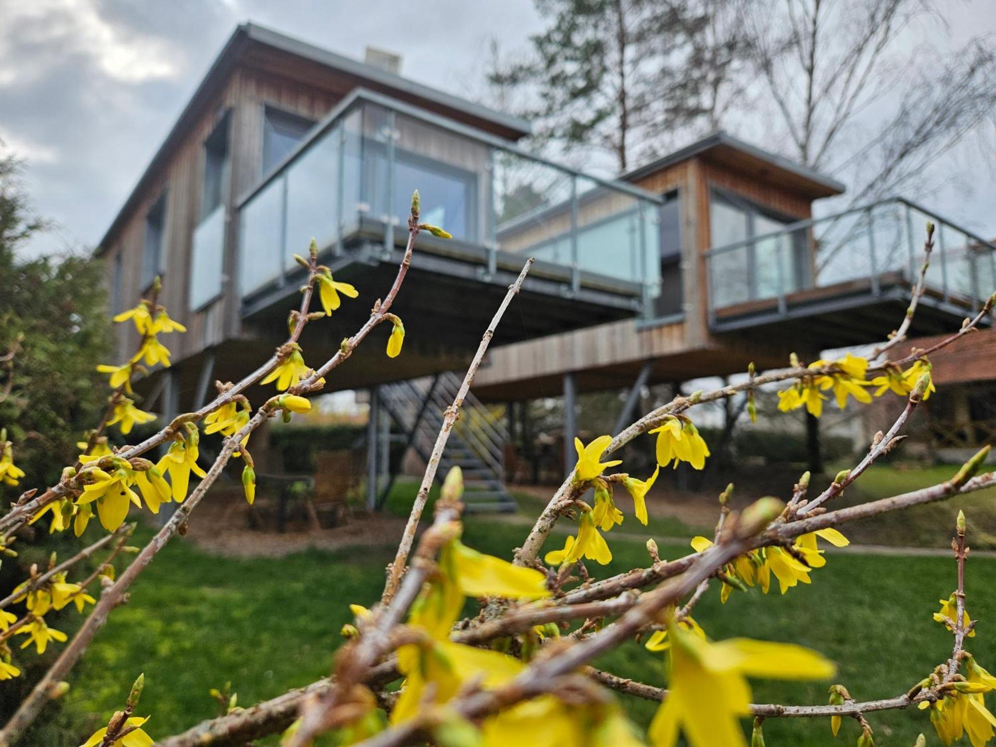 Villa Baumhaus Und Tinyhaus Mühlhausen Exterior foto